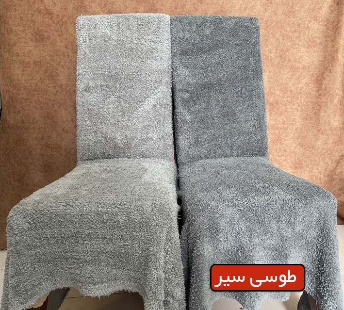 تدی طوسی سیر